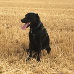 Larry Meagher - Facebook