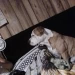 Larry Menefee - @larry.menefee - Instagram