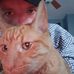 Larry Messing - Facebook