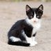 Larry Metts - Facebook