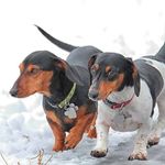 Larry Meyer - @larrymeyer - Instagram