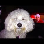 Larry Miceli - @larry654 - Instagram