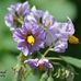 Larry Michaud Photography - Facebook
