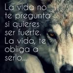 Larry Milanes - @larrymilanes - Instagram