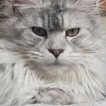 Larry Millard - @larryjo123 - Instagram