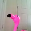 Larry the Flamingo!  - @larry_da_flamingo - TikTok