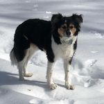 Larry Mitchell - @larrymitchellny - Instagram