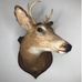 Larrys buck Mounts - Facebook