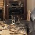 Leroy Moorhead - Facebook