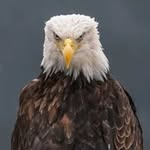 Larry Morrison - @thegreatlarrymorrison - Instagram