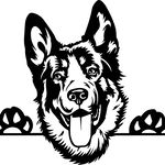 Larry Mosier Dog Photography - @lmosierphotography - Instagram