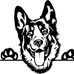Larry Mosier Dog Photography - Facebook
