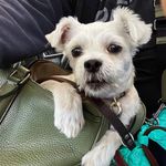 Larry Muller - @larrymuller_z8223 - Instagram