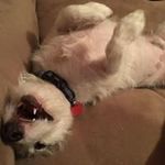 Larry Muller - @muller_larry - Instagram