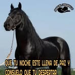 Larry Murillo - Facebook