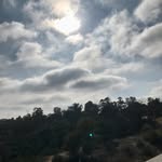 Larry Murillo - @monk.ey6633 - Instagram