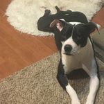 Larry Murphy - @larry.murphy.777363 - Instagram