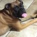 Larry Murphy - Facebook