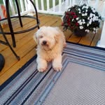 Larry Nader - @larrynader2 - Instagram