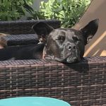 Larry Nader - @larry.nader - Instagram