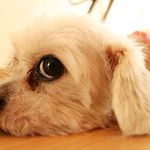 Larry Nagy - @larrynagy2359 - Instagram