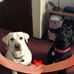 Larry Nahrwold - Facebook