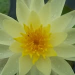 Larry Nau - @larrynau - Instagram