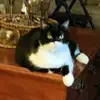 Larry - @larryneely42 - TikTok