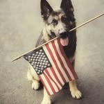 Needham - @needham.larry - Instagram