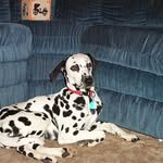 Larry T Neff - @lneff51 - Instagram