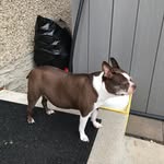 Larry Neil - @loisneil2020 - Instagram