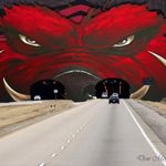 Larry Nelms - @11pp44oo - Instagram