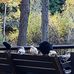 Larry Nemeth - Facebook