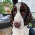 Larry Nesbitt - Facebook