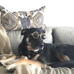 Hillary Stanton Nessler - @larry_s_ness - Instagram