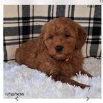 Larry Nester Sr - @larrynestersr - Instagram