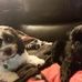 Larry Neubauer - Facebook