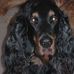 Larry Neubauer - Facebook