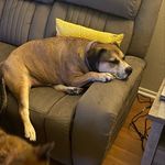Larry Nevitt - @little_ucho - Instagram