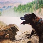 @larrynewberry83 - Instagram