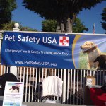 Larry Newell - @petsafetyusa - Instagram
