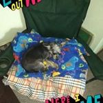 Larry Newkirk - @newkirk.larry - Instagram