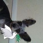 Larry Newkirk - @newkirk_larry - Instagram