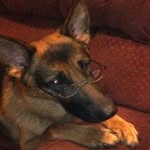 Larry Newkirk - @shepherds_treasure - Instagram