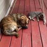 Larry newton - @larrynewton624 - Instagram