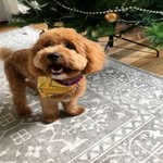 Larry Newton - @larry.newton.7712 - Instagram