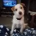 Laurie Neyhart - Facebook