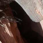 Ivan Begay - @nez_larry - Instagram