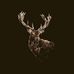 Larry Nighbert - Facebook