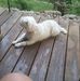 Larry Niccum - Facebook
